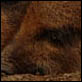 photographies-numeriques.be