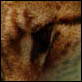 photographies-numeriques.be
