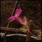 photographies-numeriques.be