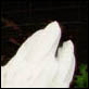 photographies-numeriques.be