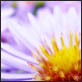 photographies-numeriques.be
