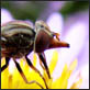 photographies-numeriques.be