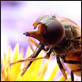 photographies-numeriques.be