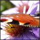 photographies-numeriques.be