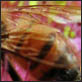 photographies-numeriques.be