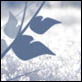 photographies-numeriques.be